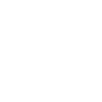 Info Icon